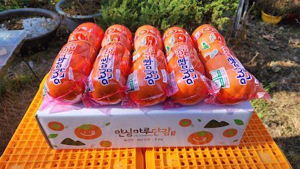 top_banner